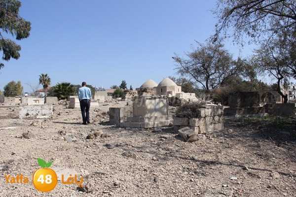 lagna omana2 sjeqw (24).JPG